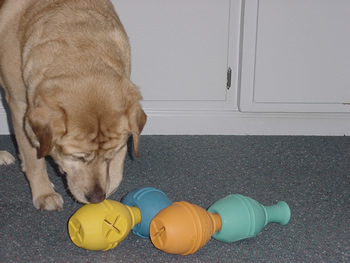 Maxie and Leo the Canine Genius Dog Toy